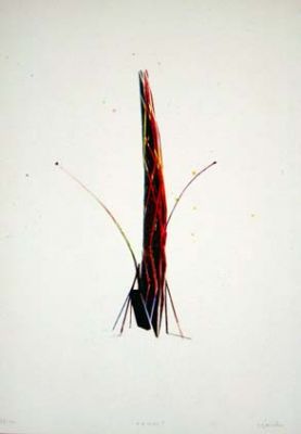 G�ran Ekstr�m - Cosmos